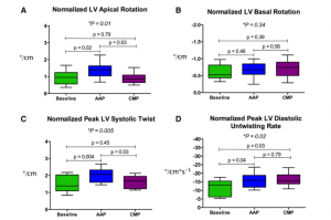 図2　運動開始後の期間と心筋の回転(rotation) /ねじれ(twist) （データはいずれも左室長により補正）　　文献[11]　より引用